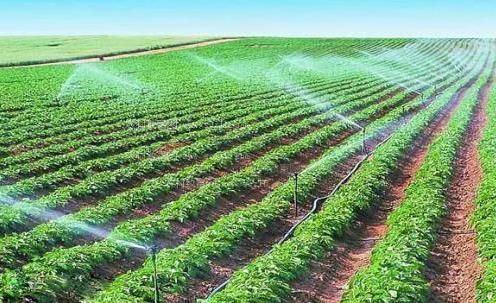 插逼软件网站农田高 效节水灌溉